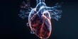 © Anastasiia - An In-Depth Look at a Beating Heart and Its Electrical Conduction System. Concept Heart Anatomy, Electrical Conduction, Cardiac Function, Physiology of Heart, Cardiovascular System