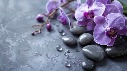 Wall Mural - Purple orchid beauty on gray backdrop spa theme with text room
