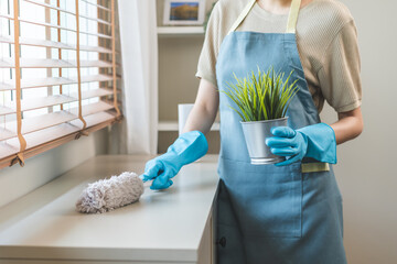 Wall Mural - Happy housewife asian young woman worker with apron and rubber gloves at home, cleaning interior working in house, using duster to brush cupboard and take out plant pot. Hygiene tool for cleaning up.