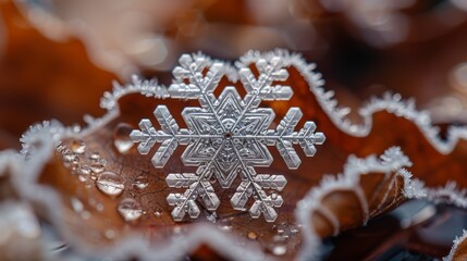 Poster - a macro photograph of a single snowflake resting on a leaf, its intricate patterns visible under mag