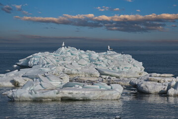 Wall Mural - Russia. The western coast of Sakhalin Island. The picturesque last ice in the spring Sea of Okhotsk.