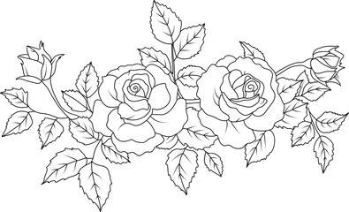 Poster - Rose flowers line art illustration