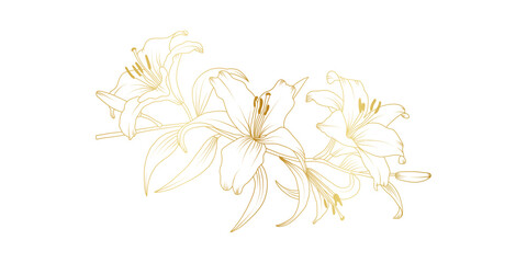 Poster - Golden lily flowers line art isolated on white background. Luxury lilies floral design elements for invitation, wedding, wallpaper, print template, vector illustration