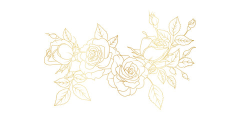 golden rose flowers line art isolated on white background. luxury roses floral design elements for i