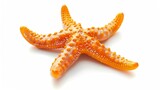 Plastic starfish orange sea star isolated on white background : Generative AI