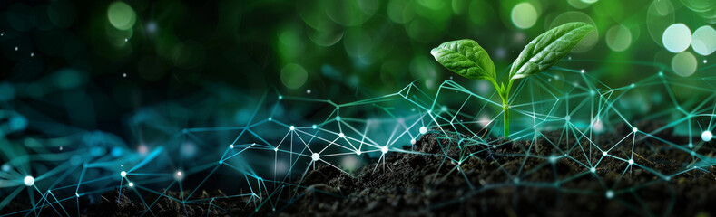 A young plant sprouting from the soil, surrounded by an array of digital connections and data points symbolizing technology's