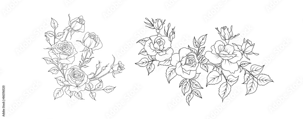 Rose flower arrangement line art on white background. Silhouette roses ...