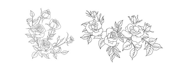 Poster - Rose flower arrangement line art on white background. Silhouette roses botanical hand drawn element for wedding, invitation frame design, vector illustration