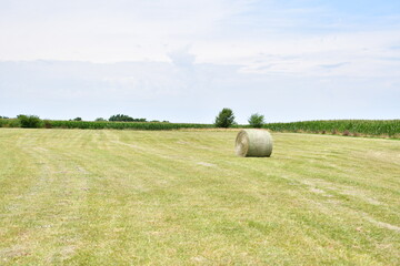 Wall Mural - Hay Field