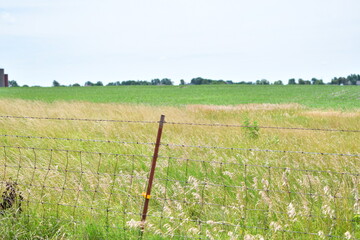 Wall Mural - Farm Field