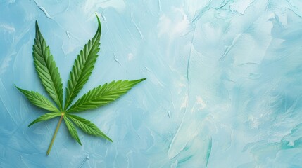 Sticker - Cannabis plant leaves over light blue background.