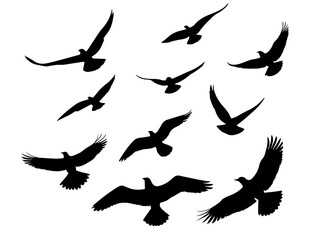 Wall Mural - set of flying bird silhouette illustration