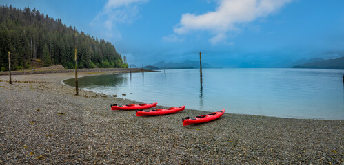 Wall Mural - Kayakking among whales in Icy Strait Point, Hoonah, Alaska, USA