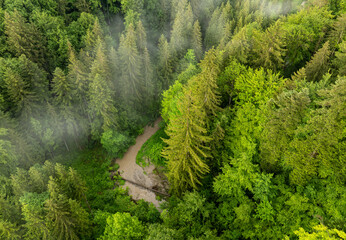 Wall Mural - Aerial view of river through a forest with a lot of water after heavy rainfall.