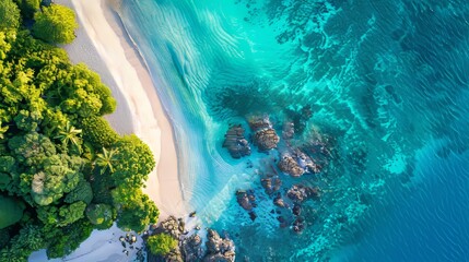 Wall Mural - Paradise Found Aerial View of Tropical Island Oasis with Pristine Beaches Coral Reefs and Lush Greenery Perfect for Travel Blogs and Environmental Campaigns