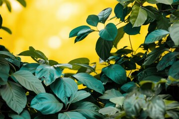 Wall Mural - This image showcases lush green leaves against a vibrant yellow background, giving it a fresh and lively appearance.