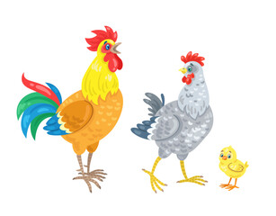 Poster - Chicken family. Cockerel, hen and a funny yellow chicken. Isolated on white background. Vector flat illustration.