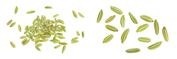 Wall Mural - Dried fennel seeds isolated on white background . Top view. Flat lay