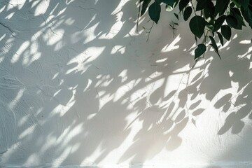 Poster - A simple scene featuring a white wall with a small green plant growing out of a crack