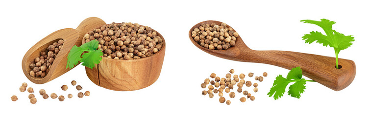 Wall Mural - Dried coriander seeds in the wooden bowl with fresh green leaf isolated on white background