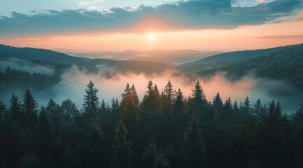 Wall Mural - Sunrise Over Foggy Mountains In A Coniferous Forest