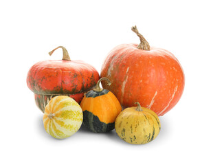 Sticker - Different fresh pumpkins on white background