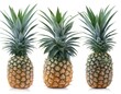 © TriAi31 - Pineapple fruit collection for design elements on white background