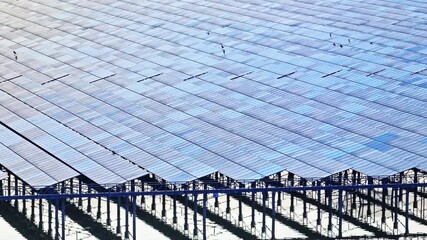 Canvas Print - Solar panels at power station. Green energy technology background