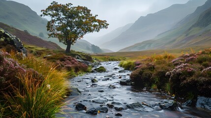 a small stream in the lake district, cumbria, england. the valley is full of heather and grassland, 