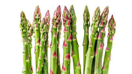 Asparagus fresh green organic vegetable healthy vegetarian season nature isolated white background closeup