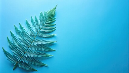 Wall Mural - soft blue minimalist backdrop with single fern leaf close-up , serene, tranquil, elegant, simple, aesthetic, calming