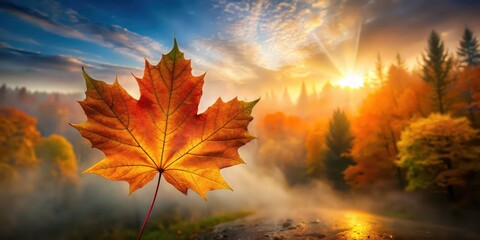 Poster - Vibrant autumn maple leaf with sunlit background, misty forest