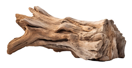Wall Mural - part of an old big tree isolated on transparent background