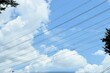 © なにがしあれこれ - 電線、青空、雲、木。