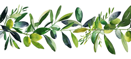 Naklejka na meble PNG Olive and leaves plant herbs leaf.