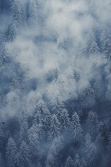 Wall Mural - Misty Mountain Silence Aerial Snowscape Over Wooded Slopes.jpeg