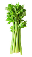 Sticker - PNG Celery food vegetable parsley.