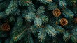 © Margarita - Green Christmas background consisting of only fir branches and pine cones with space for text. New Year card or desktop wallpaper.