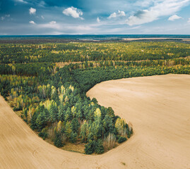 Wall Mural - Aerial Top View Of Agricultural Landscape With Growing Forest Trees On Border With Field. Beautiful Rural Landscape In Bird's-eye View. Spring Field With Empty Soil