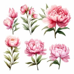 Wall Mural - A set of six pink flowers with green leaves