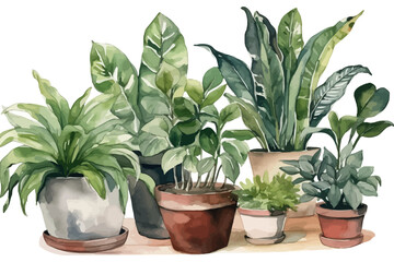 Wall Mural - Watercolor background with flowerpot. Home plants vector illustration.