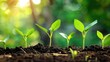 © Emin - Sustainable Business Growth via ESG Principles