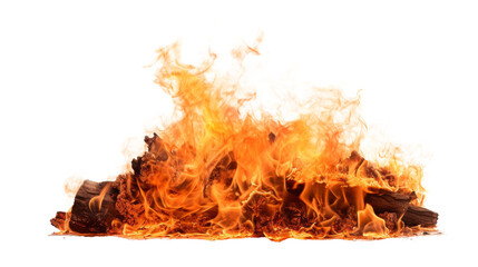 Wall Mural - hot fire isolated on white