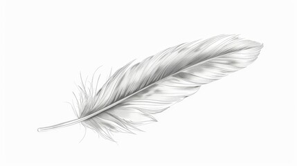 An isolated feather-shaped retro writing pen sketch. A simple tool for writing, a monochrome quill.