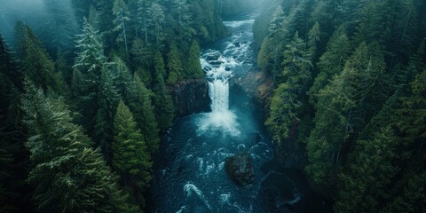 Wall Mural - Aerial View of a Waterfall in a Lush Forest