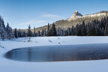 Wall Mural - Winter Landscape