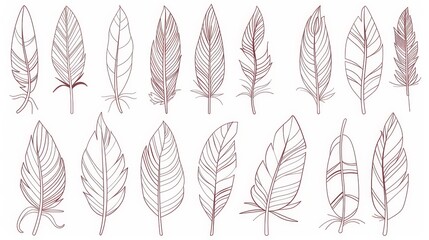 Line icons with feathers or feathers in a feather plume. Bird feather outline icons in thin line art, feather quills with geometric ornament patterns.