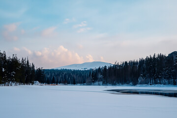 Wall Mural - Winter Landscape