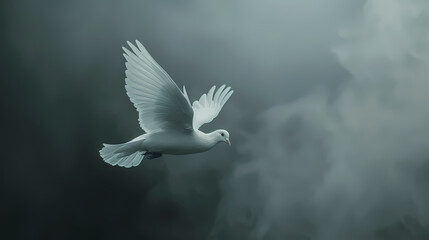Wall Mural - White dove flying in the sky, symbol of peace and hope