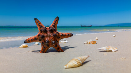 Tropical beach with red starfish and shells on Phu Quoc Island, Vietnam. Concepts of summer, travel, vacation.